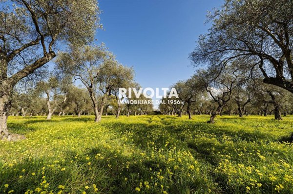 terreno agricolo in vendita ad Alghero
