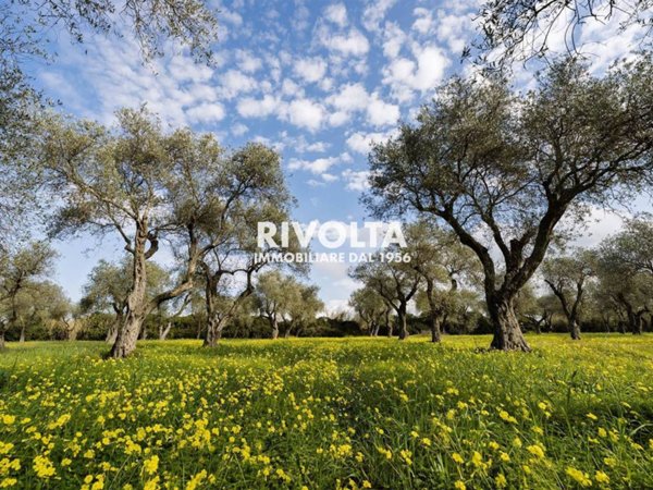 terreno agricolo in vendita ad Alghero in zona Maria Pia