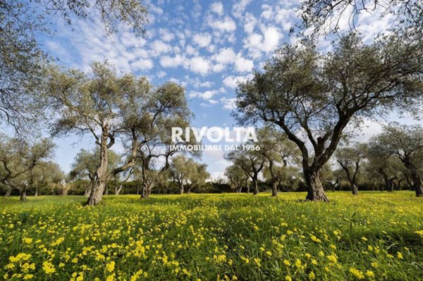 terreno agricolo in vendita ad Alghero