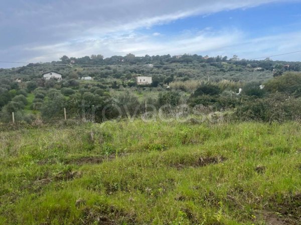 terreno agricolo in vendita ad Alghero in zona Sant'Anna