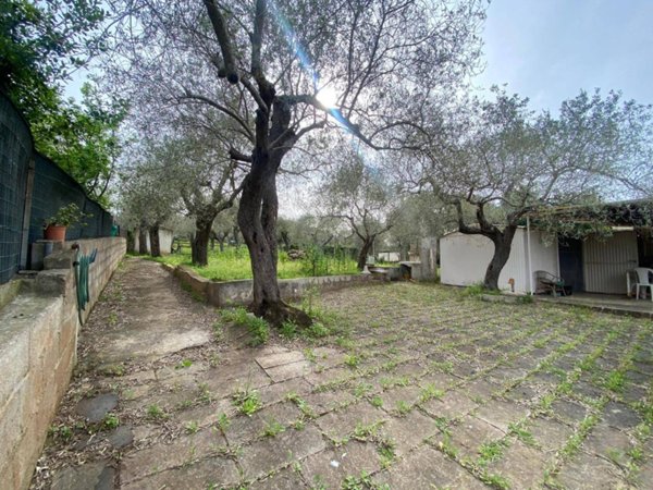 terreno agricolo in vendita ad Alghero