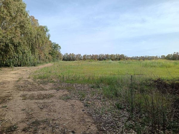 terreno agricolo in vendita ad Alghero in zona Fertilia