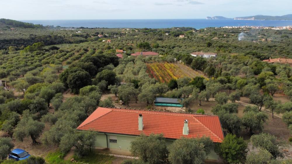 casa indipendente in vendita ad Alghero