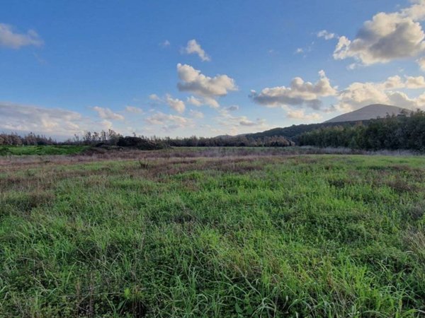 terreno agricolo in vendita ad Alghero in zona Maria Pia