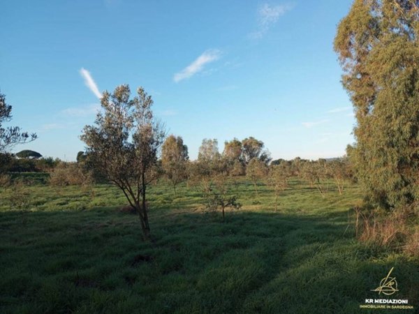 terreno agricolo in vendita ad Alghero in zona Fertilia