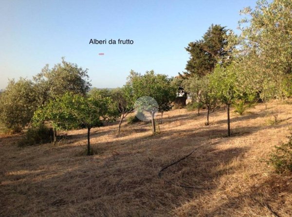 terreno agricolo in vendita ad Alghero