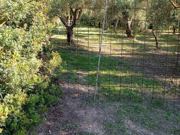 terreno agricolo in vendita ad Alghero in zona Fertilia