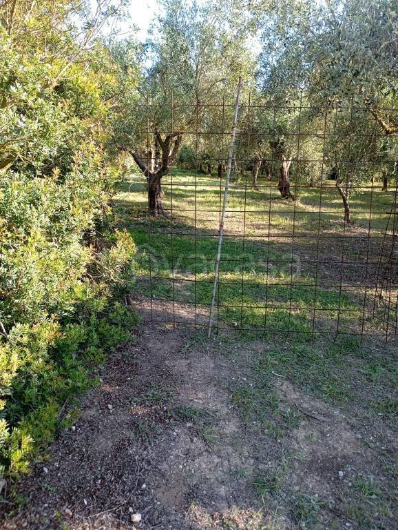 terreno agricolo in vendita ad Alghero
