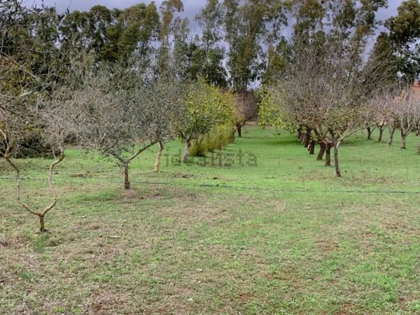 casa indipendente in vendita ad Alghero