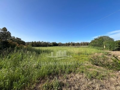 azienda agricola in vendita ad Alghero in zona Santa Maria La Palma