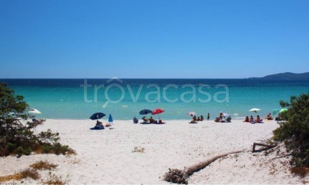 appartamento in vendita ad Alghero