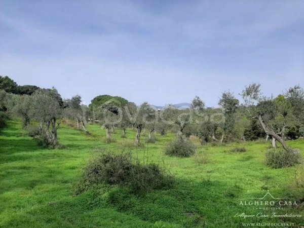 terreno agricolo in vendita ad Alghero in zona Calabona