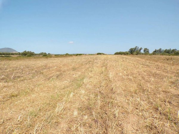 terreno agricolo in vendita ad Alghero