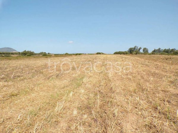 terreno agricolo in vendita ad Alghero