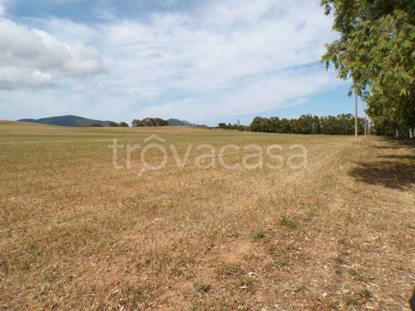 terreno agricolo in vendita ad Alghero