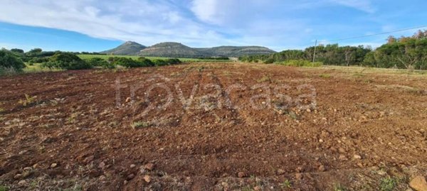 terreno agricolo in vendita ad Alghero in zona Maristella