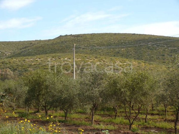 casa indipendente in vendita ad Alghero in zona Santa Maria La Palma