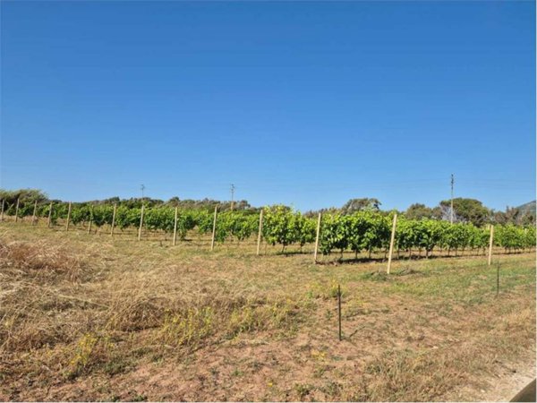 casa indipendente in vendita ad Alghero in zona Centro Storico
