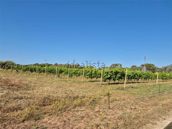 appartamento in vendita ad Alghero