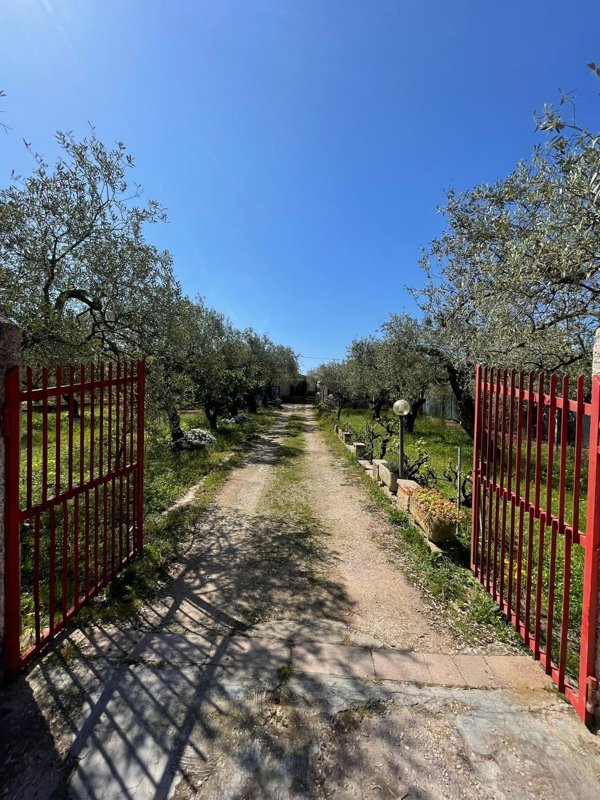 casa indipendente in vendita ad Alghero in zona Calabona