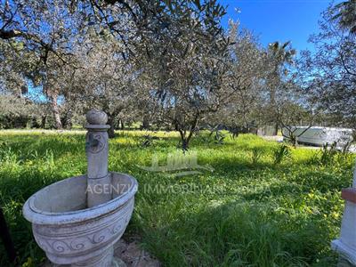 casa indipendente in vendita ad Alghero in zona Centro Storico