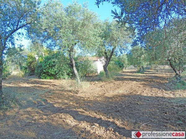 locale di sgombero in vendita ad Alghero