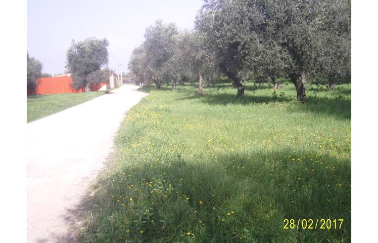 terreno agricolo in vendita ad Alghero