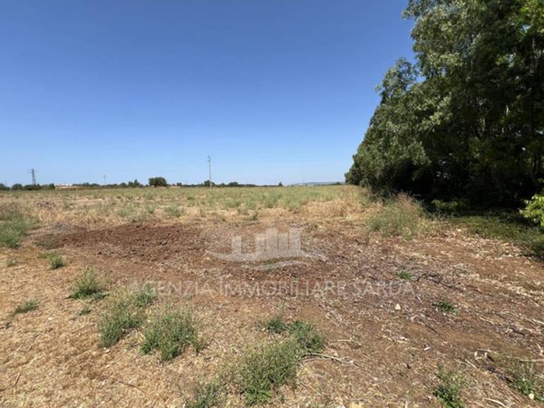 azienda agricola in vendita ad Alghero