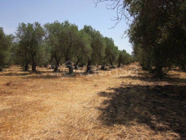 appartamento in vendita ad Alghero in zona Carrabuffas