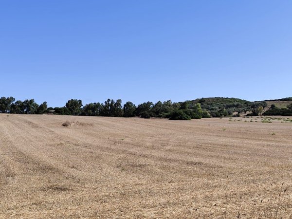 terreno agricolo in vendita ad Alghero in zona Guardia Grande