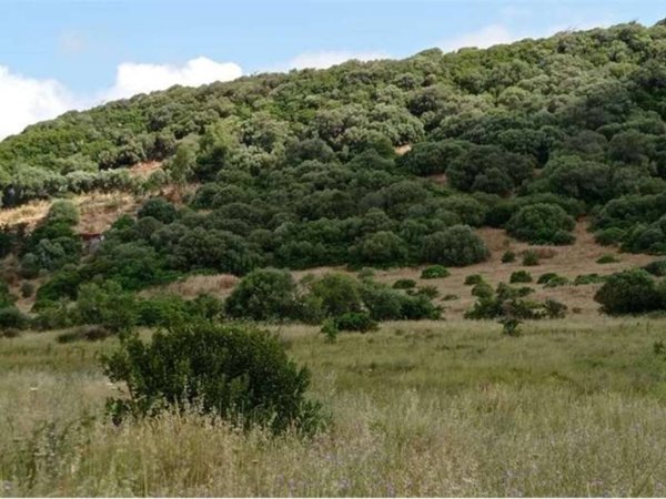 terreno agricolo in vendita ad Alghero in zona Fertilia