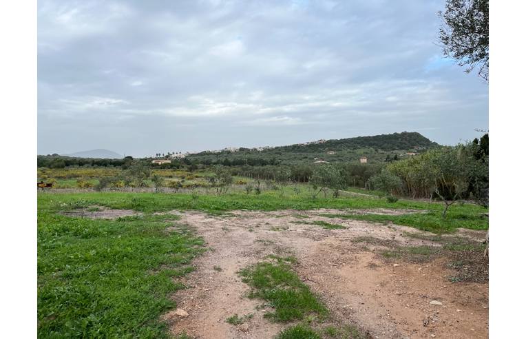 terreno agricolo in vendita ad Alghero