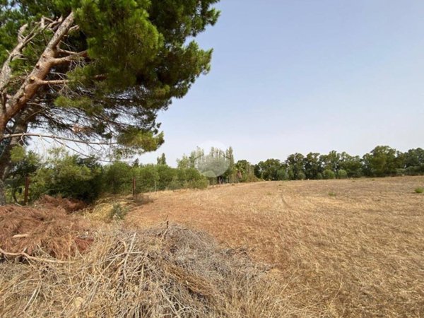 terreno agricolo in vendita ad Alghero in zona Fertilia