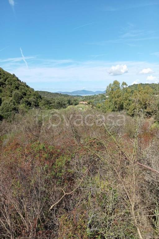 terreno agricolo in vendita ad Alghero