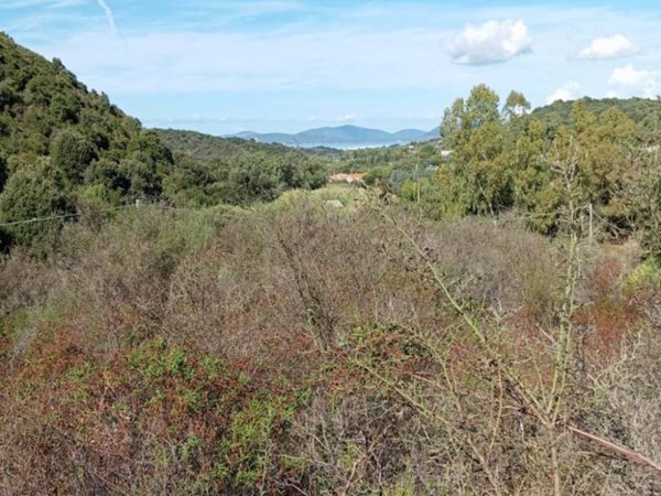 terreno agricolo in vendita ad Alghero
