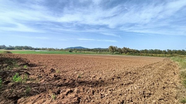 casa semindipendente in vendita ad Alghero