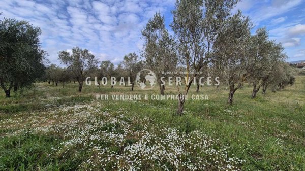 ufficio in vendita ad Alghero