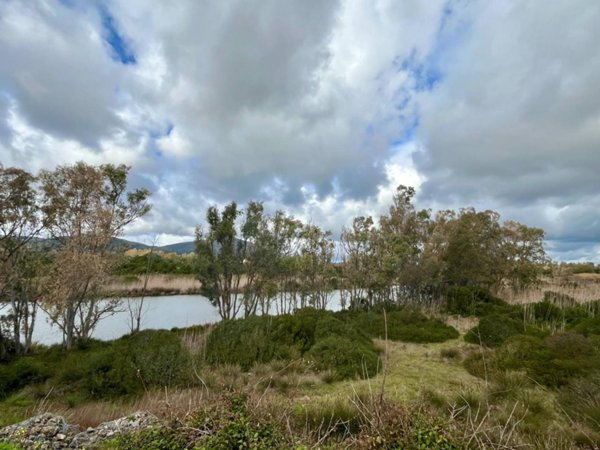 terreno agricolo in vendita ad Alghero in zona Fertilia
