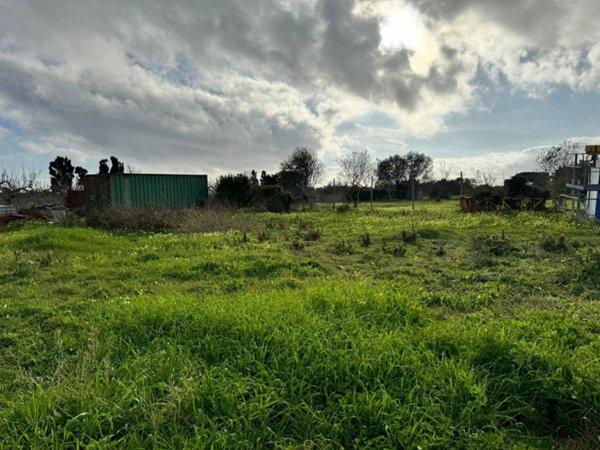 terreno agricolo in vendita ad Alghero