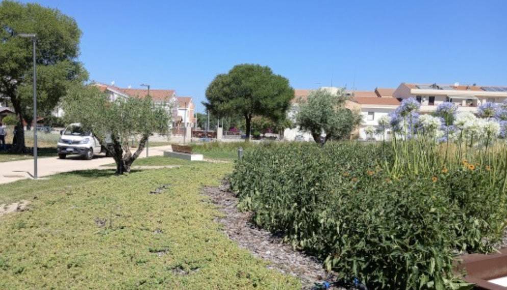 appartamento in vendita ad Alghero in zona Pivarada