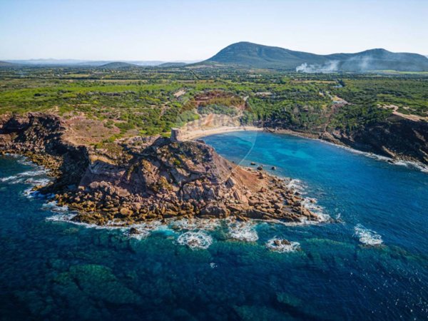 azienda agricola in vendita ad Alghero
