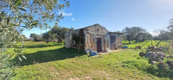 appartamento in vendita ad Alghero in zona Sant'Anna