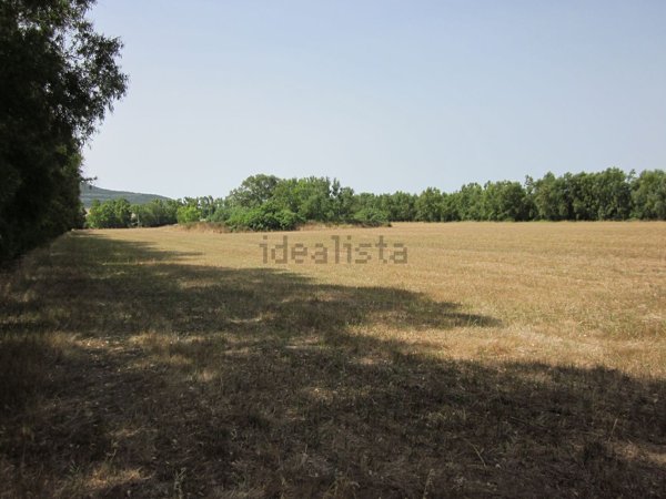 terreno agricolo in vendita ad Alghero in zona Santa Maria La Palma