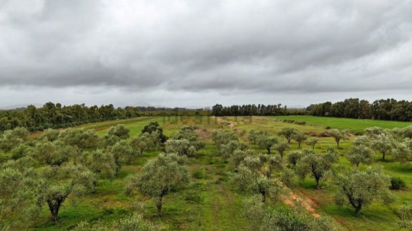 casa indipendente in vendita ad Alghero in zona Maria Pia