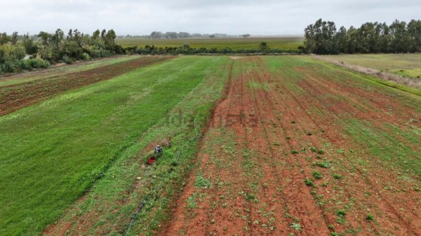 casa indipendente in vendita ad Alghero in zona Maria Pia