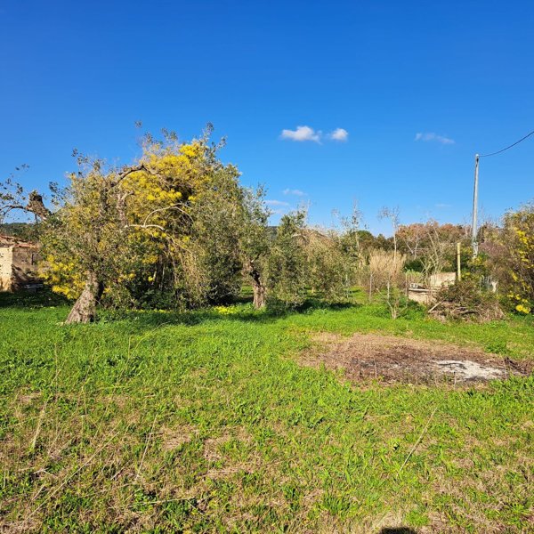 casale in vendita ad Alghero