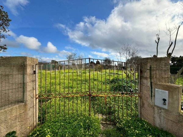 terreno agricolo in vendita ad Alghero