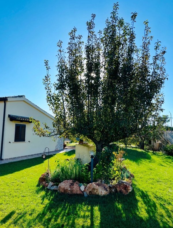 casa indipendente in vendita ad Alghero in zona Scaletta