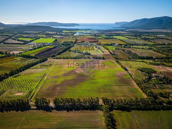 terreno agricolo in vendita ad Alghero
