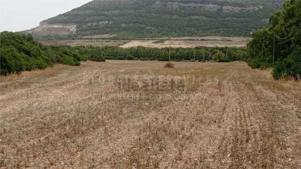 terreno agricolo in vendita ad Alghero in zona Guardia Grande